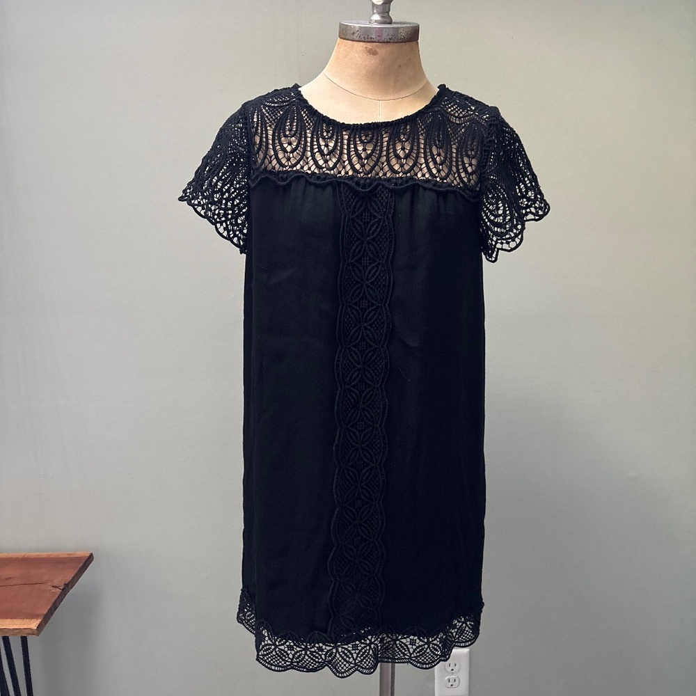 Black lace sleeve dress